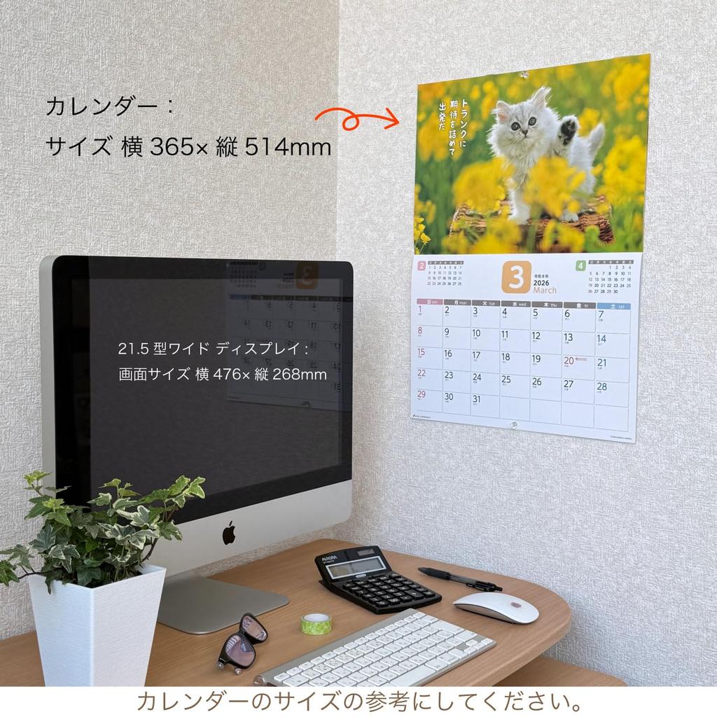 Active Corporation 2026 Wall Calendar a Starts January 2026 (Because It's Cat) 26ACL-66