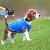 Hurtigtørrende Hundekølevest Åndbar Hundejakke Bærbar Kølevest Sele Kæledyrsartikler