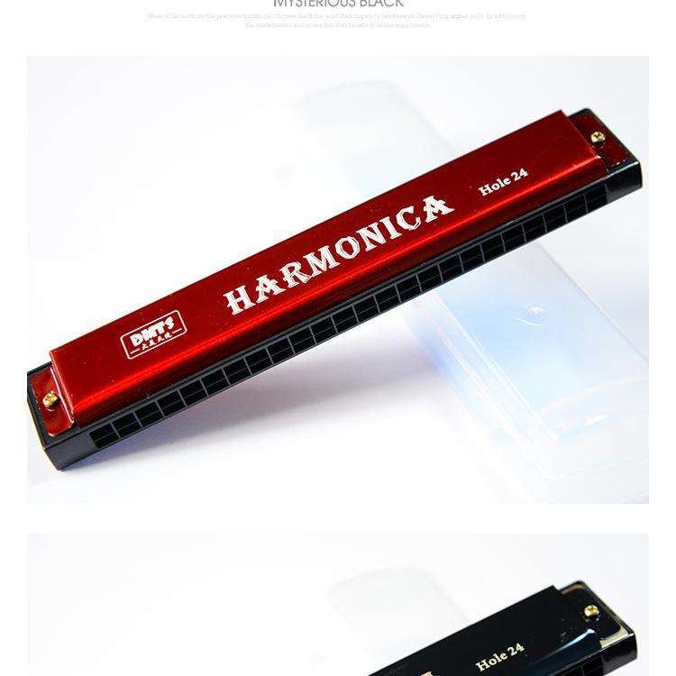 Big Beauty Angel 24-Hole Diatonic Harmonica & 37-Key Melodica for Adults & Beginners