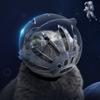 Sturdy Cat Head Cover Ball-shaped Anti-bite Mask Paw Cover Pet Space Hood  Prevent Licking