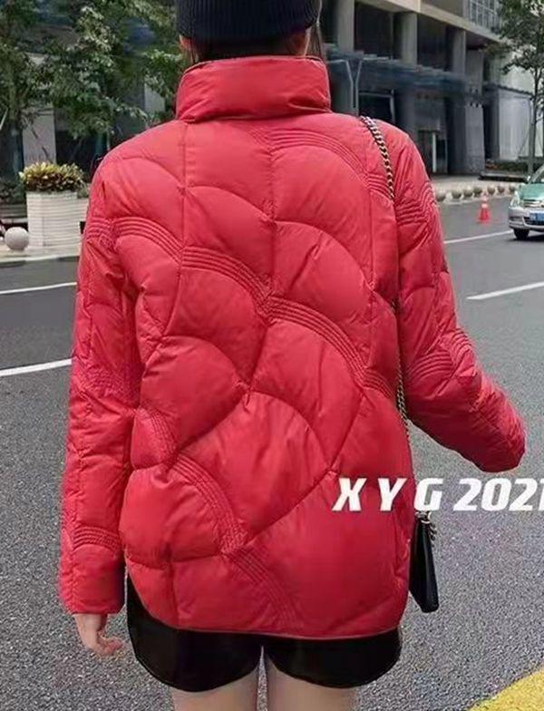 Chice leichte Daunenjacke für Damen - Trendiger Herbst/Winter Stehkragen Bestseller