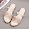 Summer Sandals Women 2025 New Wear Flat Bottom Soft Bottom Fashion Fairy Style Versatile One Shoe Two Wear Female Cool Slippers