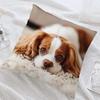 1pc Contemporary Style Polyester Filled Pillow Cover, Cavalier King Charles Spaniel Print, Soft and Smooth Polyester Short Plush Fabric, Single-Sided 
