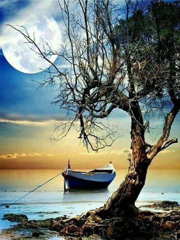 Diamant-Malerei, Mond, voller Bohrer, quadratisch, Diamant-Stickerei, Baum, Perlen, Mosaik, Küstenlandschaft, 5D, DIY-Kunst, Wanddekoration