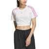 adidas Originals Baby Tee Soft Striped Comfortable Short Sports Crew Neck Raglan Short Sleeve T-Shirt Women Tops White JD3286