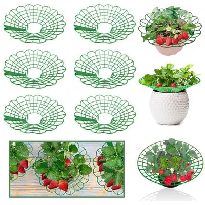 Zatravnění a úprava terénu – Podpěry pro rostliny