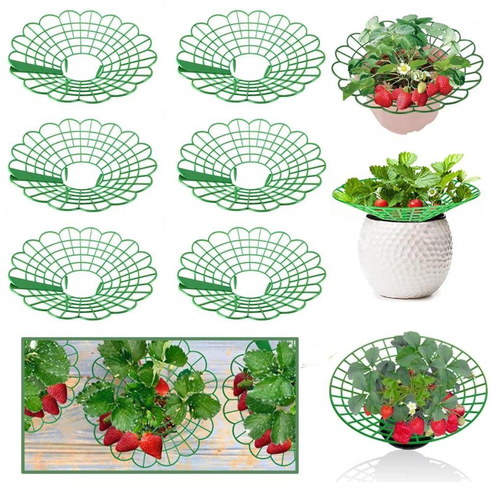 1/3Pcs Anti-ground Plant Tray Stand  for Protecting Strawberries from Mold Rot and Dirt