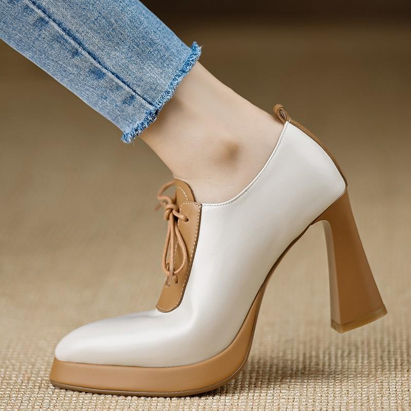 2025 New Color Matching Single Shoes Women's Autumn and Winter Pointed High Heels Thick Heel Trend Design Sense Lace-up Small Leather Shoes Women