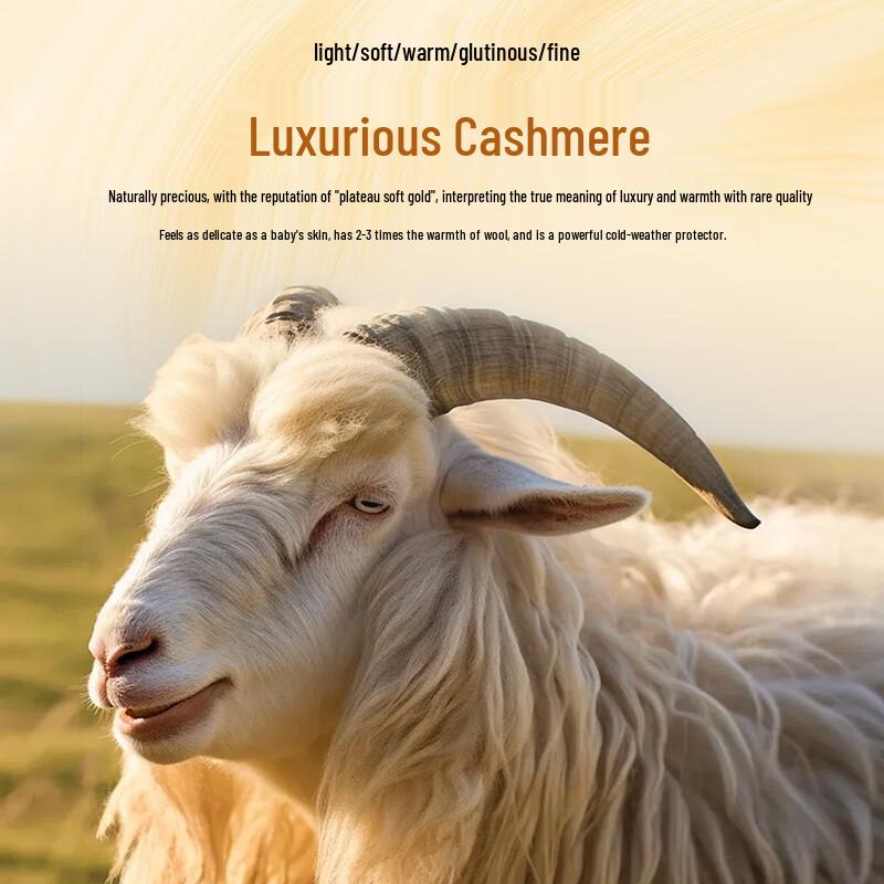 Futing Men's 300G Machine Washable 100% Cashmere Round Neck Sweater