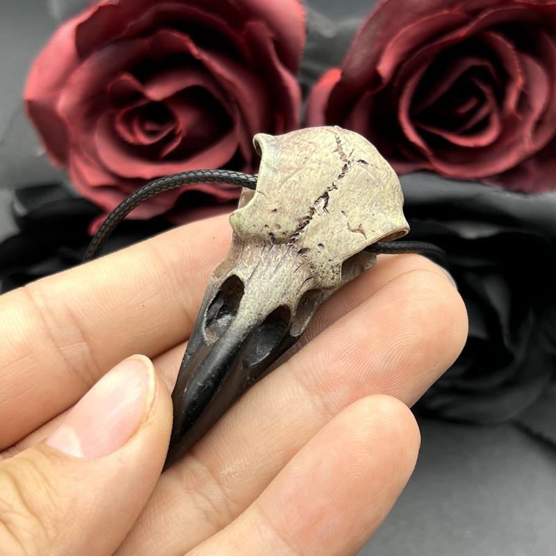 3D Gotik Raven Kafatası Kolye Reçine Replika Raven Saksağan Karga Gotik Hediye Cadılar Bayramı Raven Kafatası Kolye