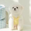 Süße Hundekleidung für kleine Hunde, Teddy, Bichon, Bär, Prinzessin, Windkuchen, Kleid, Kind, Sommerweste, Haustierkleidung