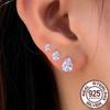QooLady S925 Sterling Silver Shiny Cubic Zirconia Water Drop Stud Earrings for Women Trendy Party Jewelry Accessories Gift SE127