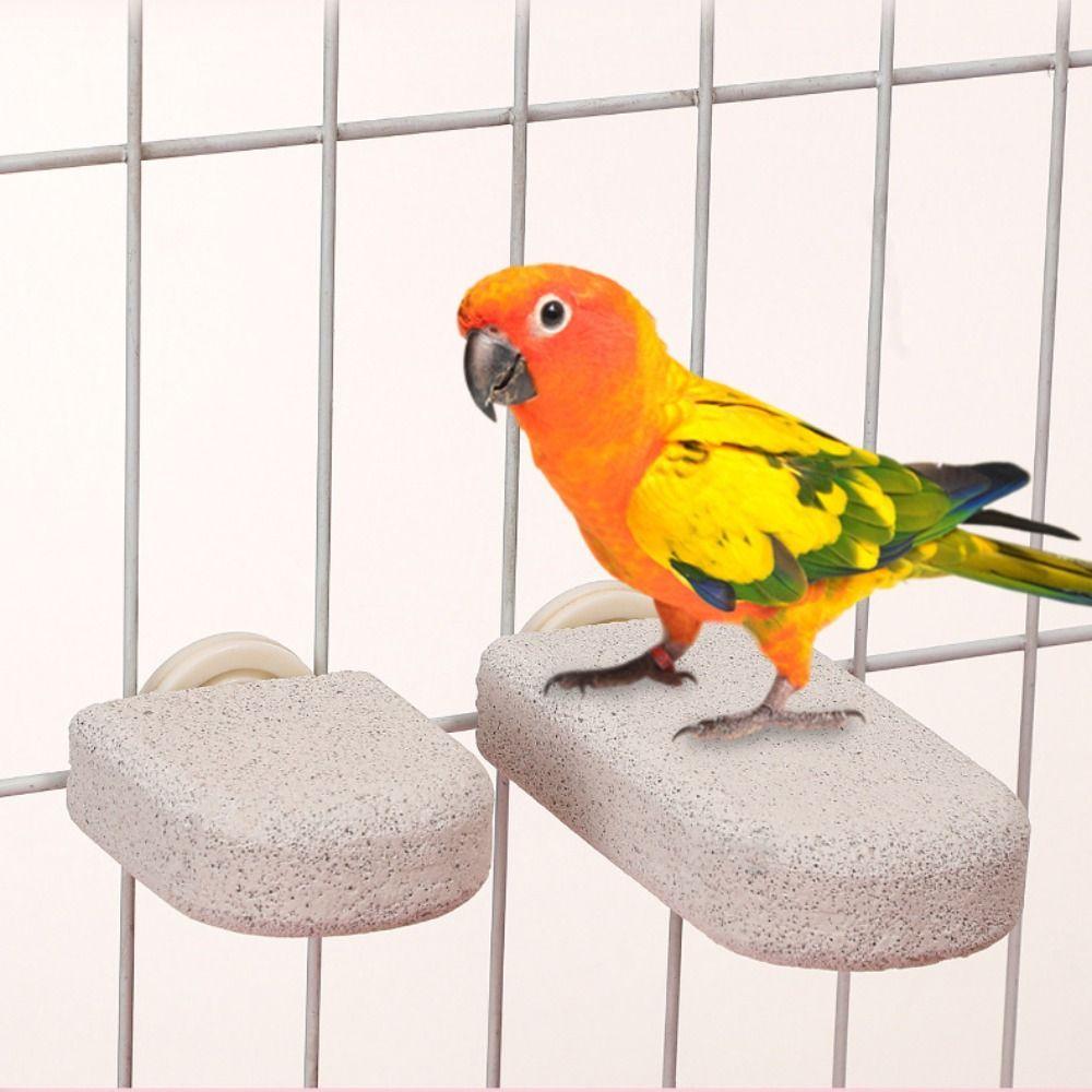 Pumice Parrot Stand Board Claw Grinding Tooth Grinding Bird Resting Platform Relieve Boredom Birdcage Accessories