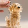 new 5style Dog Hair Collection Pendant Dog Hair Storage Box Bag Charm Pet Pendant Transparent Hair Storage Capsule Dog Souvenirs