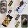 Animal Beaver Cell Phone Case for Samsung Galaxy S26 Ultra S25 S24 S23 S22 S21 S20 Note10 Cover