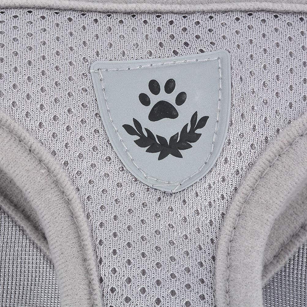 Zunea Set Ham și Lesă pentru Câini Mici și Ham din Plasă Respirabilă cu Reflectorizant Sigur și Ușor Ajustabil și Ușor de Pus și Scos