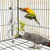 Stainless Steel Parrot Chew Toy Ring Bell Hanging Toy Bird Beak Grinding Toy For Macaw Cockatoo African Grey Cage Accessories