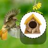 Oiseaux – Cages et accessoires