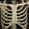 Halloween Horror Světelný kostlivec Skeleton Bar Dekorace s přívěskem scény KTV