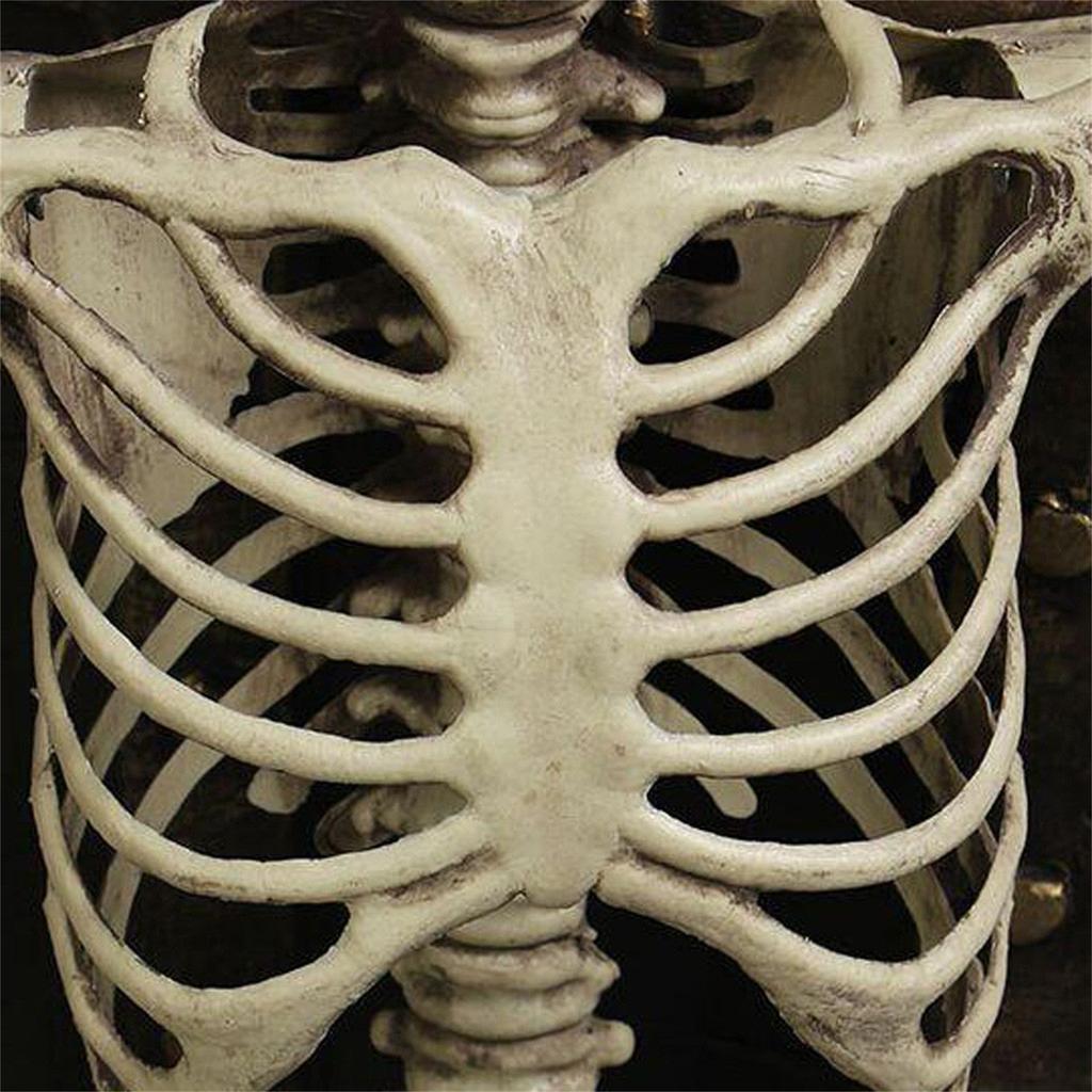 Halloween Horror Světelný kostlivec Skeleton Bar Dekorace s přívěskem scény KTV