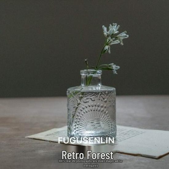 Small French Retro Glass Vase for Flowers and Hydroponics
