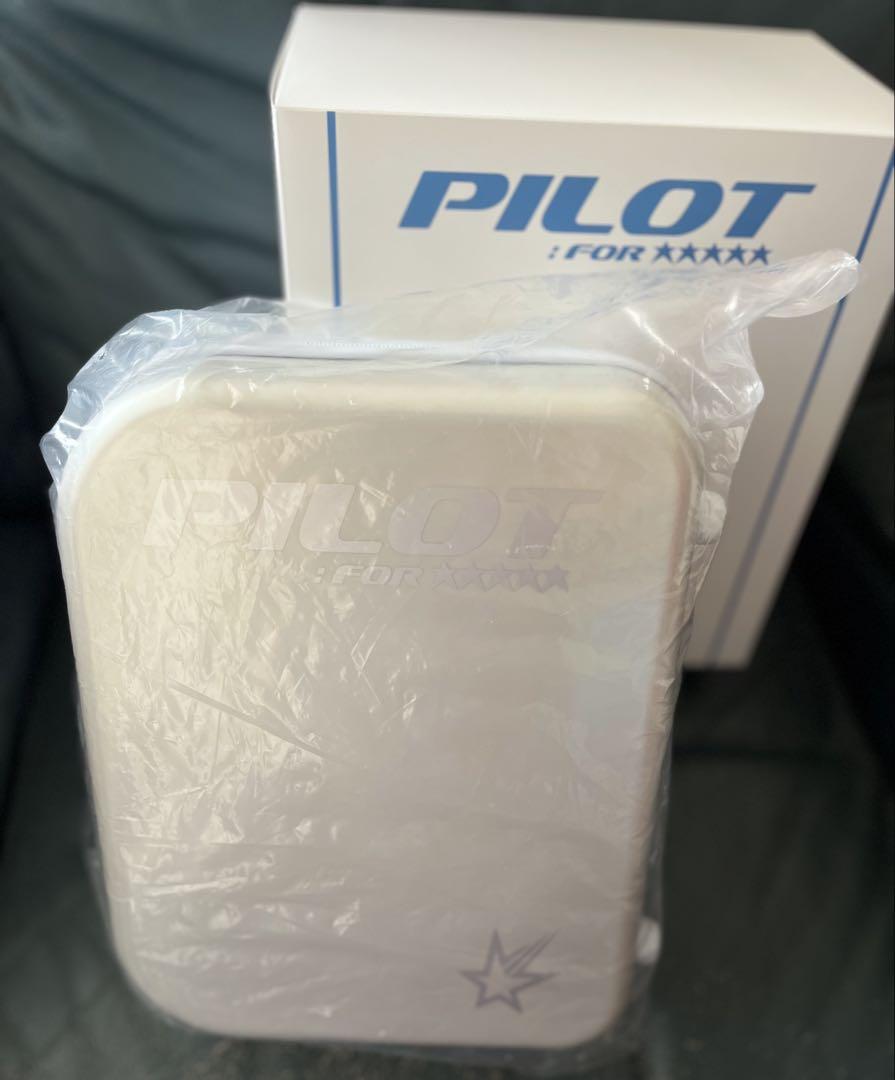 

[USED] straykids mini carrier pilot