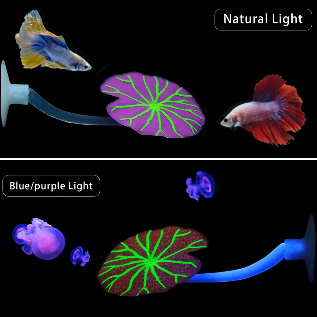 Easy-Install Silicone Betta Fish Hammock - Fluorescent for Lotus Leaf Aquarium Decor for All Fish Species