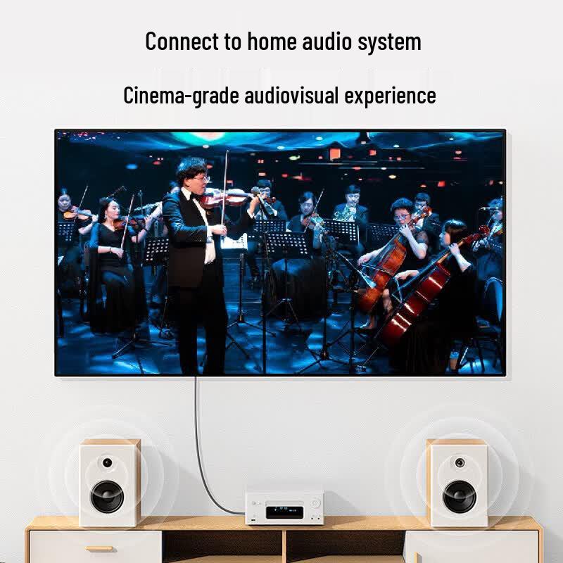 BIAZE Cavo per Altoparlanti Audio in Rame Puro