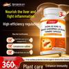 GTHIELY Ganoderma & Turmeric Liver Support Tablets