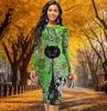 Long Sleeve Waist Tight Office Slim Fit Long Necked Animals Printing Elegant Bodycon Dress