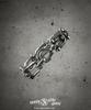 Sheen666 Industrial Series Sts020 Shackle Link Bracelet Small