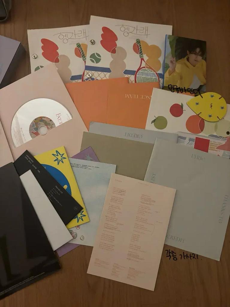 SEVENTEEN Hyeja Defective Disposal + Unofficial Goods 2nn 6kg Used