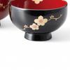 Set of 2 Lacquerware Dishwasher Made in Japan J-kitchens Bowls, Hand-Painted, Safe, PID-529098,