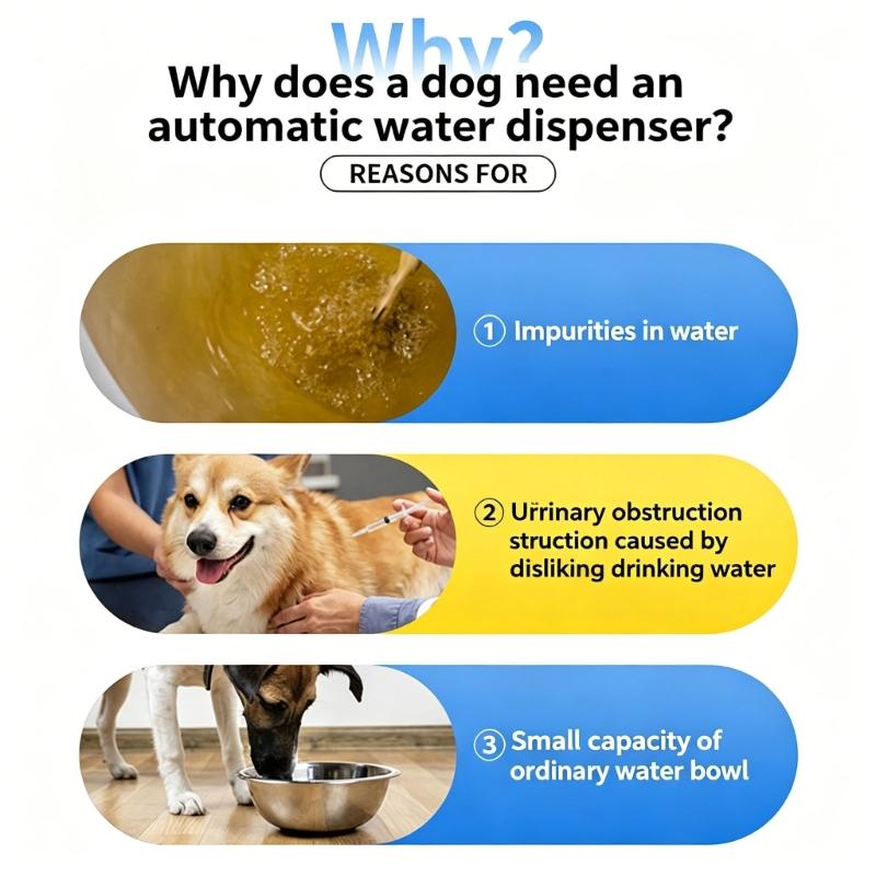 Automatic Pet Water Fountain With Large Capacity Tanks And Quiet Operations For Dog Cats Daily Watering Essential