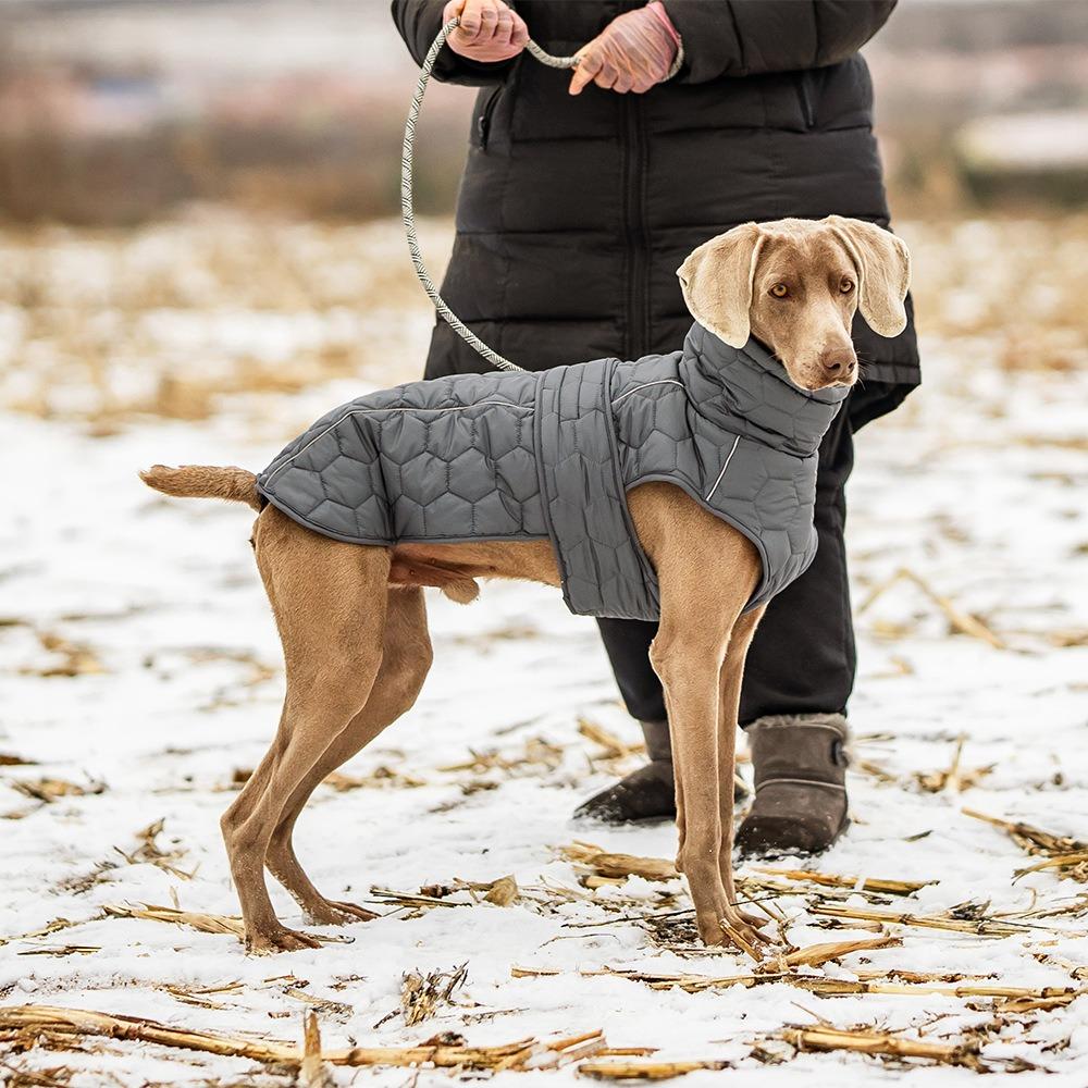 Reflective Strip Dog Winter Coat High-neck Design Fleece Lining Dog Turtleneck Thickened Warm Winter Dog Clothes Winter
