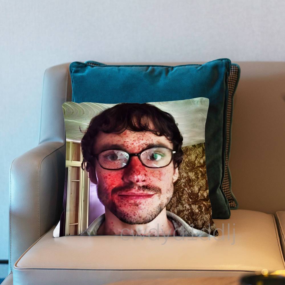 

WWill Graham HHannibalS Pillowcases Cute Funny Pillow Case For Wedding Party Home Decor Comfy Pillow Cover 30x30cm