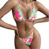 2025 New Printed Two-piece Swimsuit for Women, with A Small Chest That Gathers The Hot Spring, Is A Sexy European and American Swimming Suit Bikini