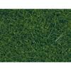 Wild Herbs - NOCH - 7120 - Green - 4 Mm - Mixed