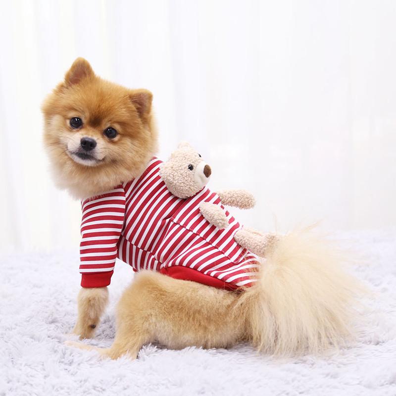 pomeranian clothes