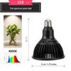 Vollspektrum E27 Sonnenlicht LED Pflanzenlampe für die Pflanzenzucht