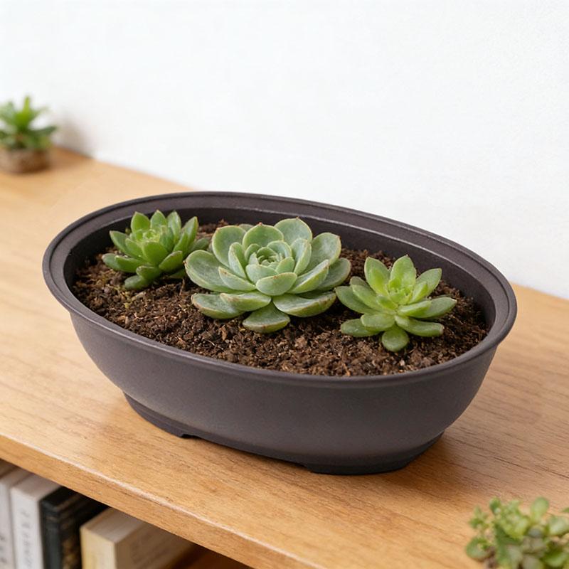 Oval Bonsai Pots Plastic Rectangular Flowerpot with Tray Drainage mitation Purple Clay Bonsai Pot Outdoor Growing Pot Home Decor