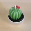 New simulation succulent plant candles, rose candles, 44 product combinations, and special-shaped paraffin candles