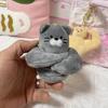 Soft Fluffy Gray Muscle Cat Plush Keychain Cartoon Plush Keyring Bag Pendant Backpack Ornament Gift For Cat Lovers