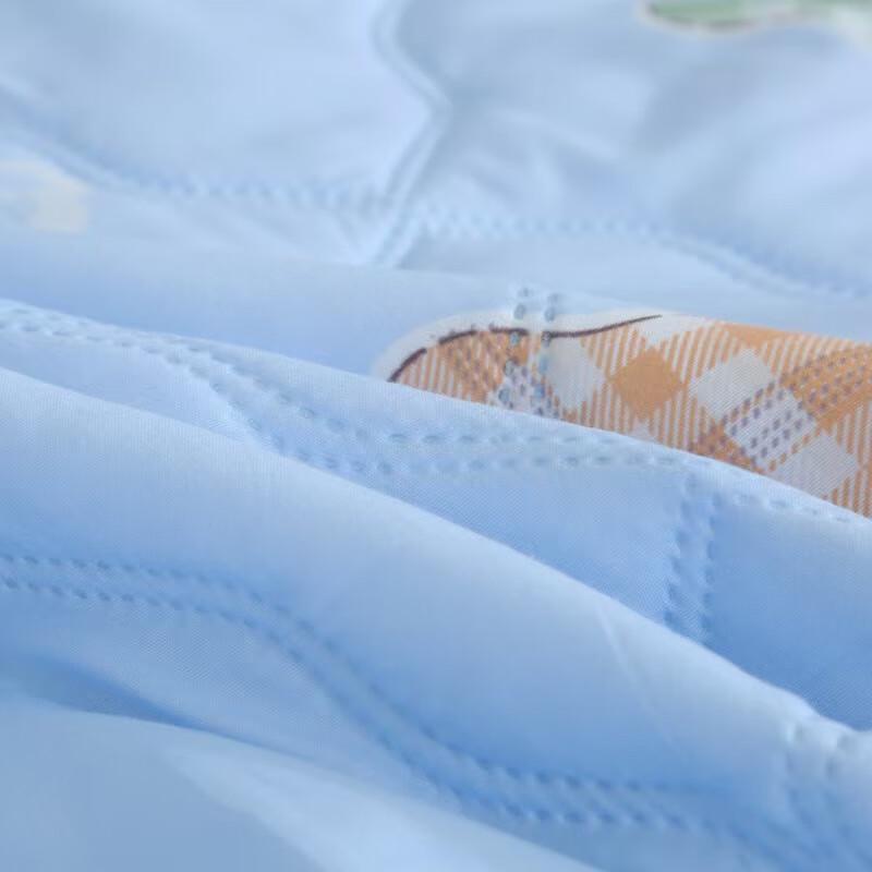 BGM-B2501 Bamboo Charcoal Antibacterial Quilt