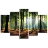 Five Piece Picture Canvas Print Forest Green Nature