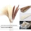 Nordic Style Dried Flower Bouquet: Mixed Arrangement with Small Reeds, Bunny Tail Grass, and Duster for Home Decoration.