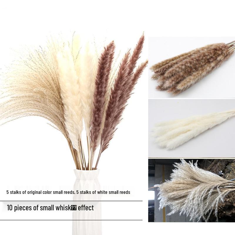 Nordic Style Dried Flower Bouquet: Mixed Arrangement with Small Reeds, Bunny Tail Grass, and Duster for Home Decoration.