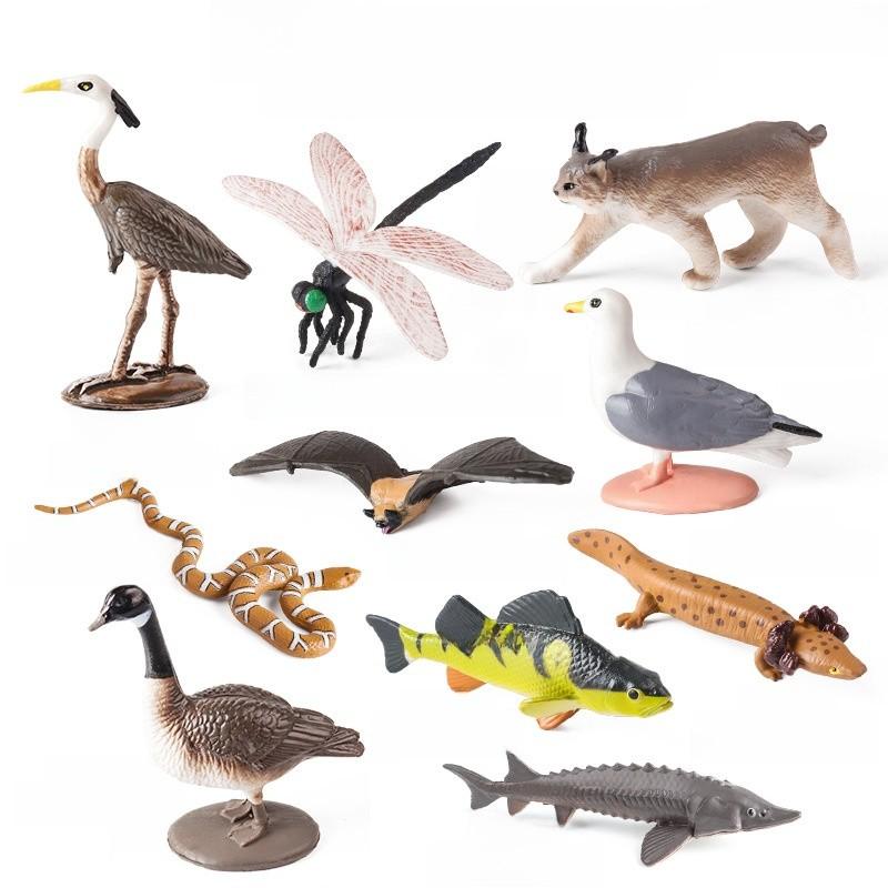 Mini Wild Animal Model Set With Plastic Figures For Educational Display And Collection