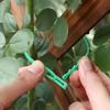 30pcs Plastic Cable Ties Adjustable Multi-Purpose Plant Dedicated Fastener Reusable Cable Ties Organizer for Plant Vine Support