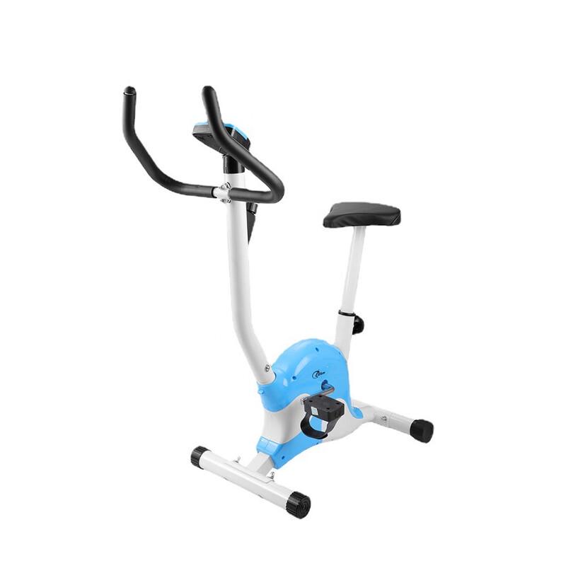 Longchan Indoor Spinning Exercise Bike